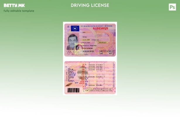 Модерен стил Холандија DL шаблон